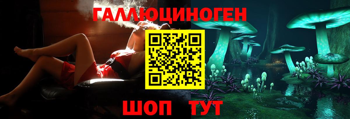 Галлюциногенные грибы MAGIC MUSHROOMS  Вход с VPN  Конаково 
